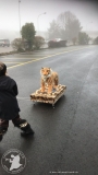 IMG-20190202-WA0016