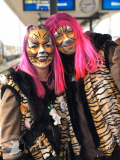 IMG-20191111-WA0008