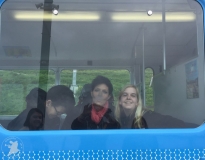 image229