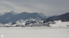 DSC04411-0030