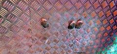 IMG-20230222-WA0001