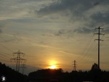 aResizedIMG_0264-0061