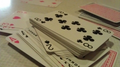 IMAG0198