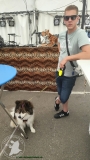 IMG-20220625-WA0014