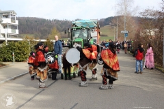 Embrach00000084