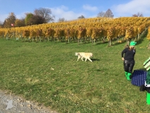 image045