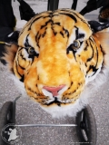 IMG-20190303-WA0041