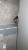 IMG-20190303-WA0101