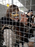 IMG-20190309-WA0032