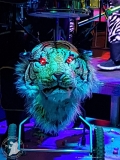 IMG-20190316-WA0049
