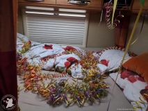 IMG-20190323-WA0016