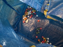 IMG-20190325-WA0000